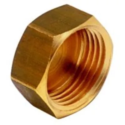 BOUCHONS FEMELLE 300